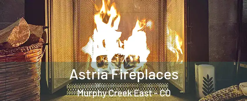 Astria Fireplaces Murphy Creek East - CO