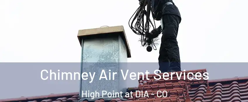 Chimney Air Vent Services High Point at DIA - CO