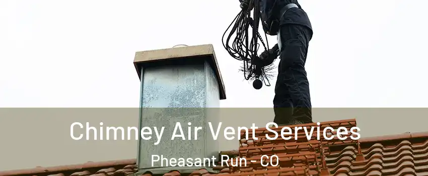 Chimney Air Vent Services Pheasant Run - CO