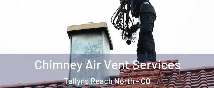 Chimney Air Vent Services Tallyns Reach North - CO