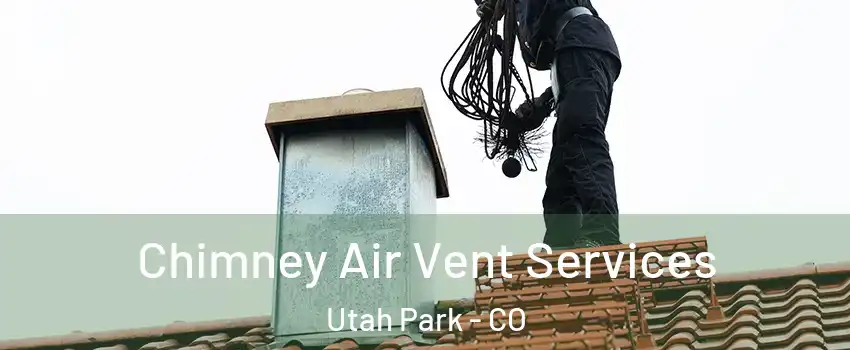 Chimney Air Vent Services Utah Park - CO