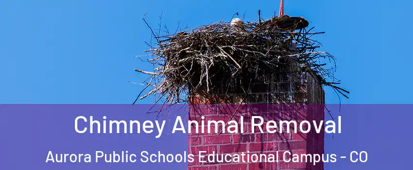 Chimney Animal Removal Aurora Public Schools Educational Campus - CO