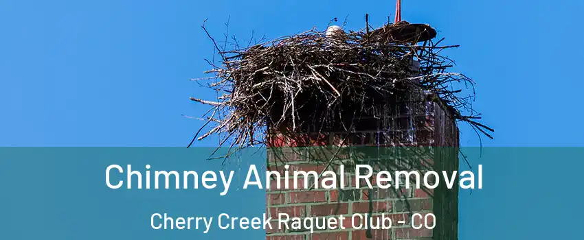 Chimney Animal Removal Cherry Creek Raquet Club - CO