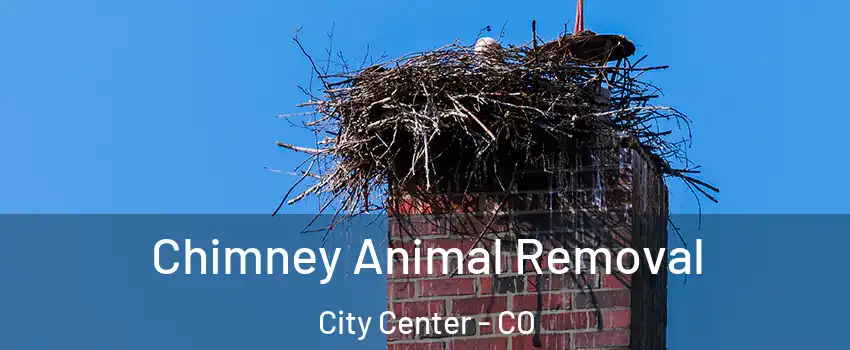 Chimney Animal Removal City Center - CO