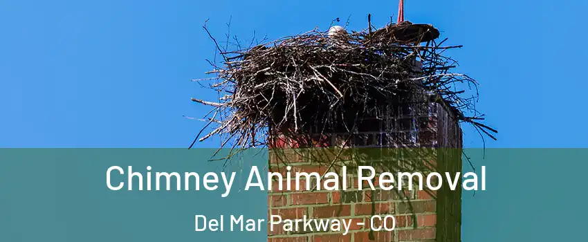 Chimney Animal Removal Del Mar Parkway - CO