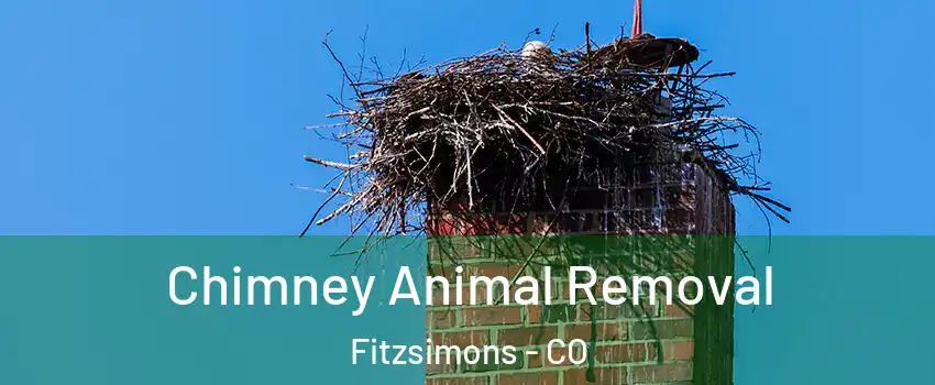 Chimney Animal Removal Fitzsimons - CO