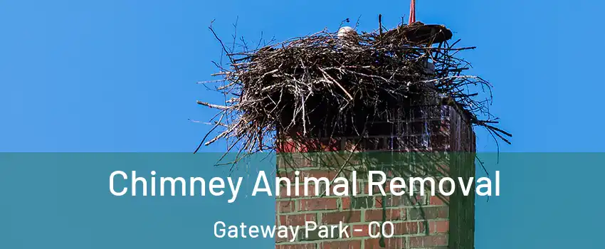 Chimney Animal Removal Gateway Park - CO