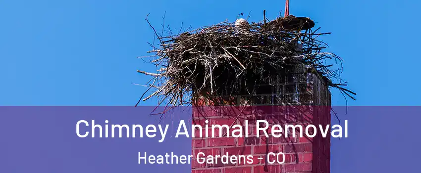 Chimney Animal Removal Heather Gardens - CO