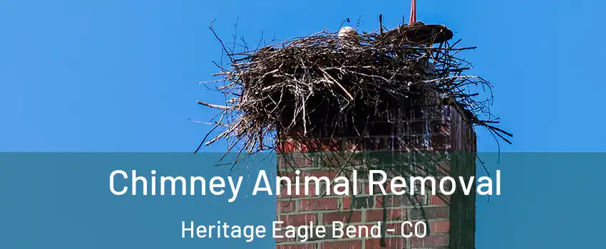 Chimney Animal Removal Heritage Eagle Bend - CO