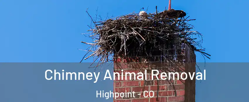 Chimney Animal Removal Highpoint - CO