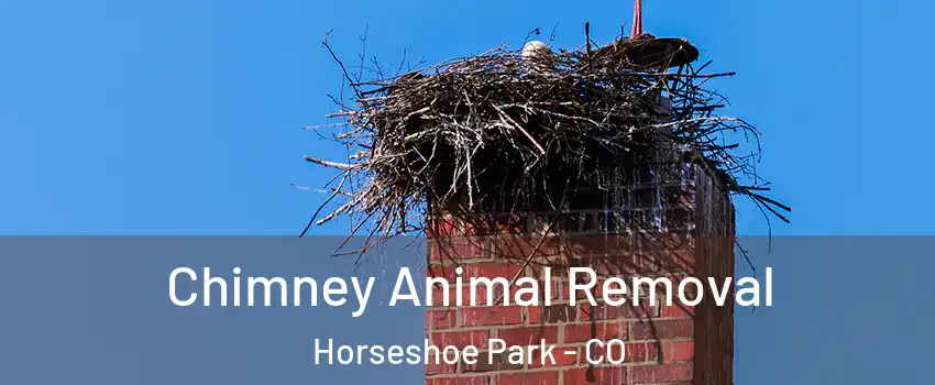 Chimney Animal Removal Horseshoe Park - CO