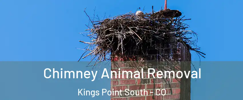 Chimney Animal Removal Kings Point South - CO