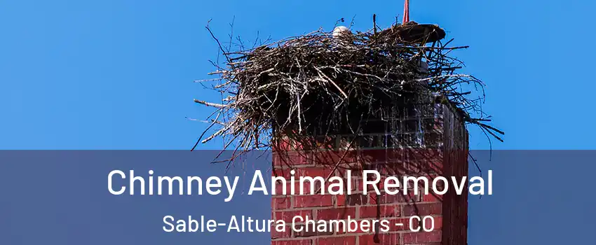 Chimney Animal Removal Sable-Altura Chambers - CO