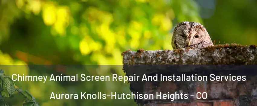 Chimney Animal Screen Repair And Installation Services Aurora Knolls-Hutchison Heights - CO