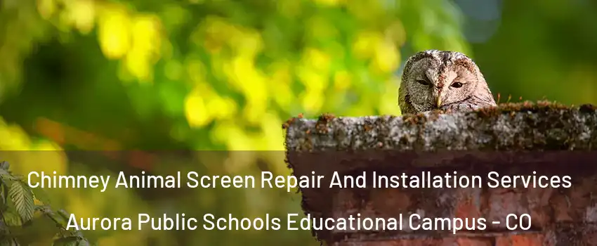 Chimney Animal Screen Repair And Installation Services Aurora Public Schools Educational Campus - CO