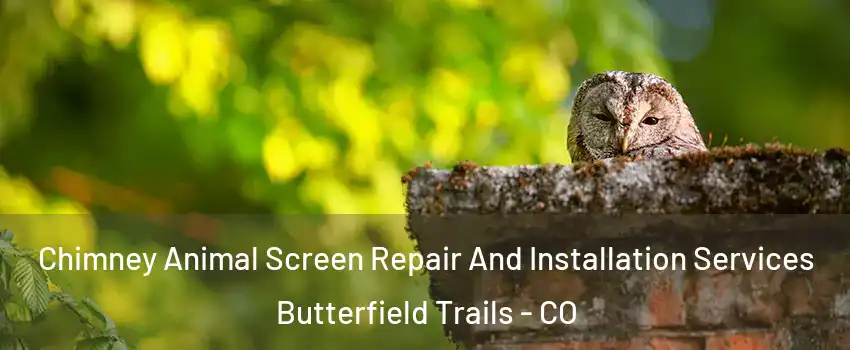 Chimney Animal Screen Repair And Installation Services Butterfield Trails - CO