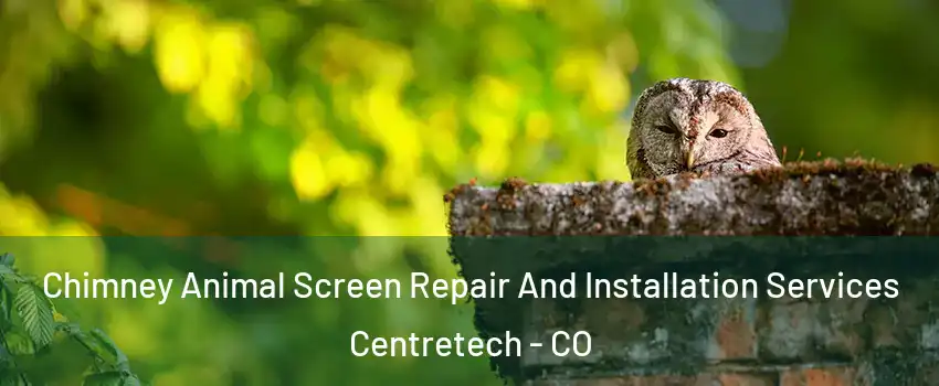 Chimney Animal Screen Repair And Installation Services Centretech - CO