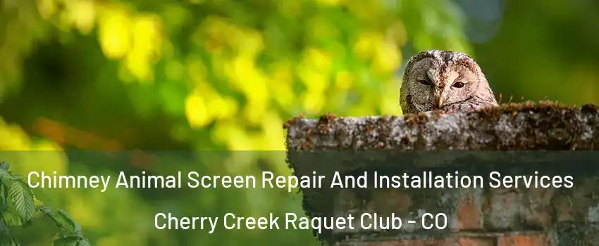 Chimney Animal Screen Repair And Installation Services Cherry Creek Raquet Club - CO