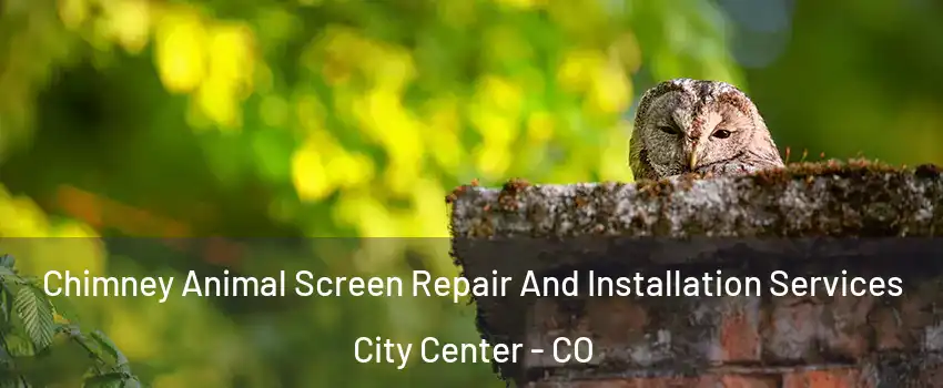 Chimney Animal Screen Repair And Installation Services City Center - CO