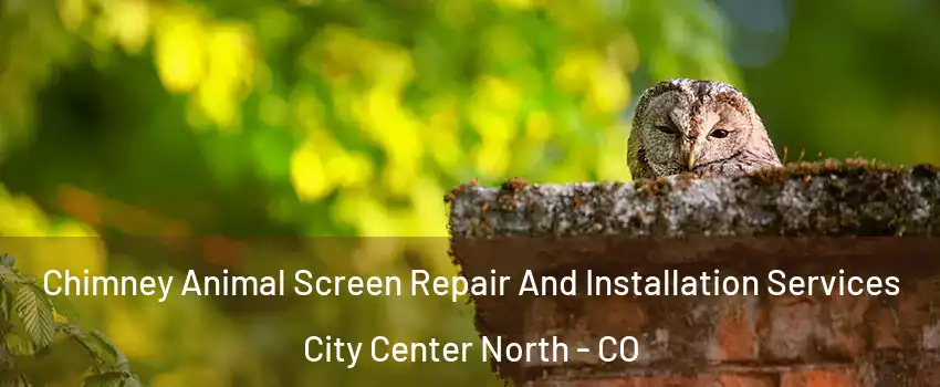 Chimney Animal Screen Repair And Installation Services City Center North - CO