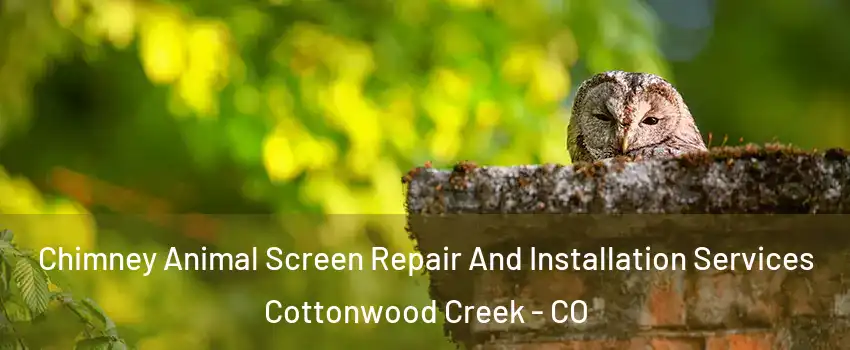 Chimney Animal Screen Repair And Installation Services Cottonwood Creek - CO