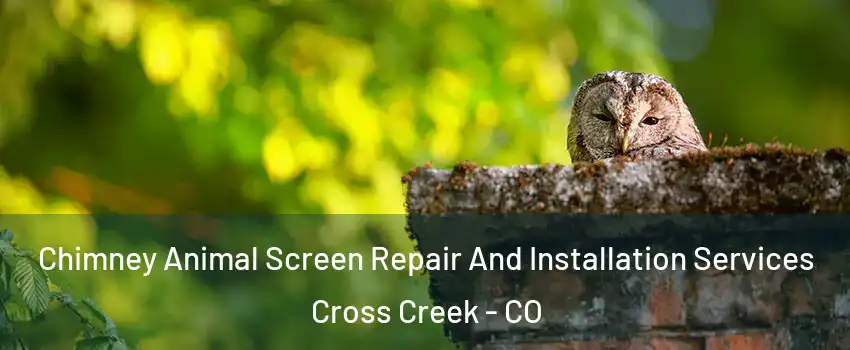 Chimney Animal Screen Repair And Installation Services Cross Creek - CO