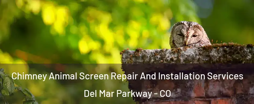 Chimney Animal Screen Repair And Installation Services Del Mar Parkway - CO