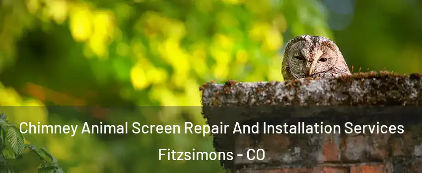 Chimney Animal Screen Repair And Installation Services Fitzsimons - CO