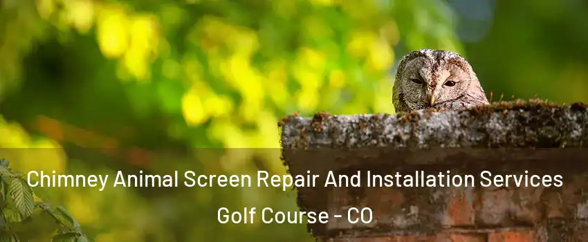 Chimney Animal Screen Repair And Installation Services Golf Course - CO