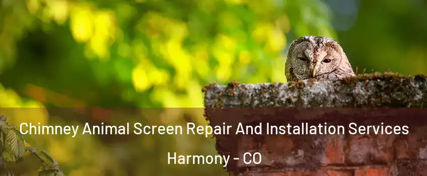 Chimney Animal Screen Repair And Installation Services Harmony - CO