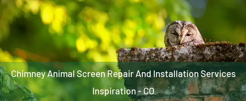 Chimney Animal Screen Repair And Installation Services Inspiration - CO