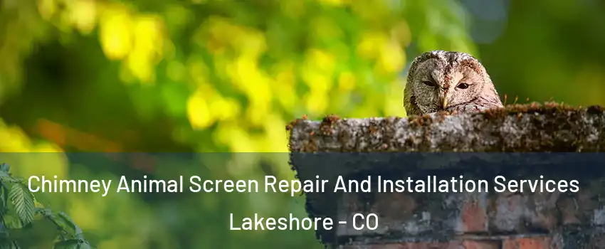 Chimney Animal Screen Repair And Installation Services Lakeshore - CO