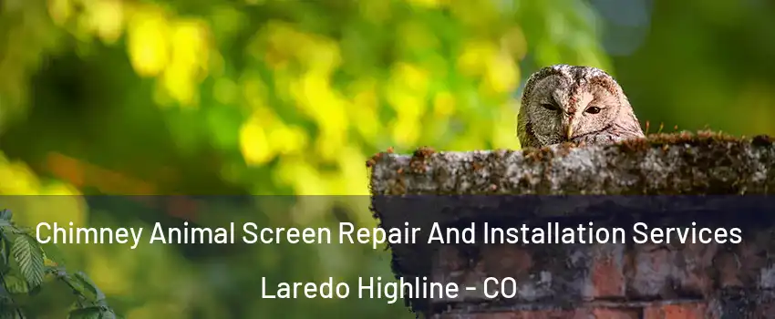 Chimney Animal Screen Repair And Installation Services Laredo Highline - CO