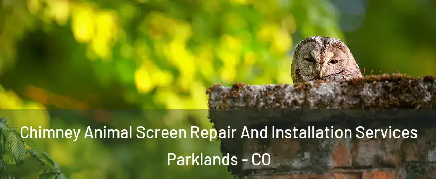 Chimney Animal Screen Repair And Installation Services Parklands - CO