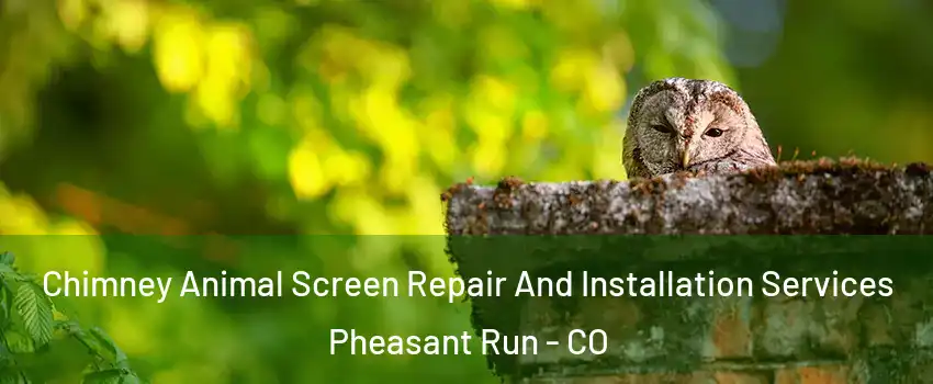 Chimney Animal Screen Repair And Installation Services Pheasant Run - CO