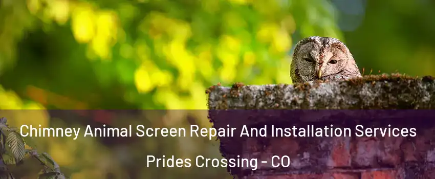 Chimney Animal Screen Repair And Installation Services Prides Crossing - CO