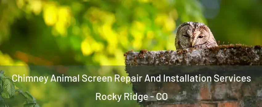 Chimney Animal Screen Repair And Installation Services Rocky Ridge - CO