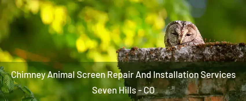 Chimney Animal Screen Repair And Installation Services Seven Hills - CO