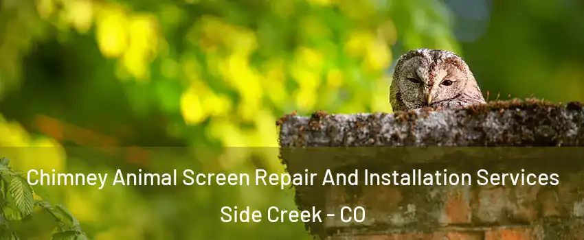 Chimney Animal Screen Repair And Installation Services Side Creek - CO