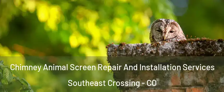 Chimney Animal Screen Repair And Installation Services Southeast Crossing - CO