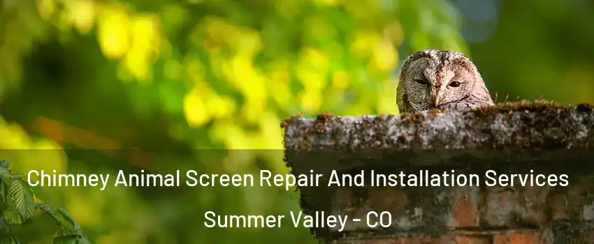 Chimney Animal Screen Repair And Installation Services Summer Valley - CO