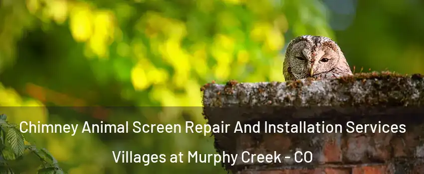 Chimney Animal Screen Repair And Installation Services Villages at Murphy Creek - CO