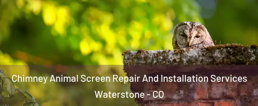 Chimney Animal Screen Repair And Installation Services Waterstone - CO