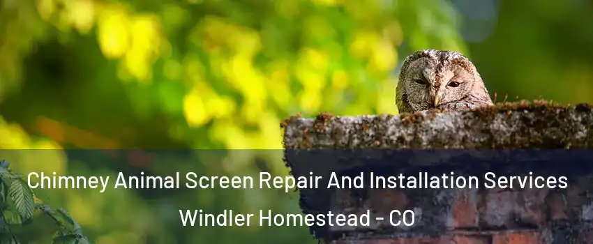 Chimney Animal Screen Repair And Installation Services Windler Homestead - CO