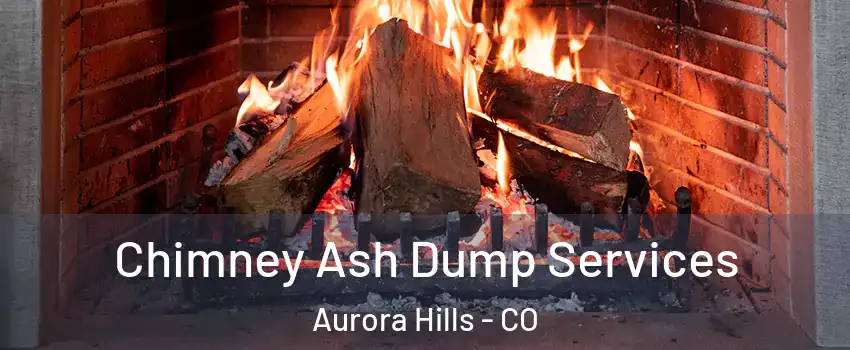 Chimney Ash Dump Services Aurora Hills - CO