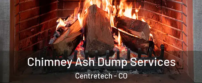 Chimney Ash Dump Services Centretech - CO