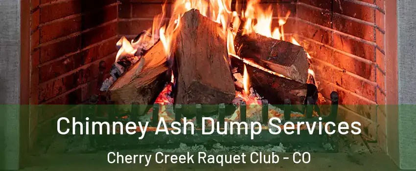 Chimney Ash Dump Services Cherry Creek Raquet Club - CO