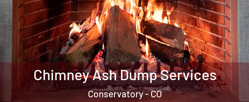 Chimney Ash Dump Services Conservatory - CO