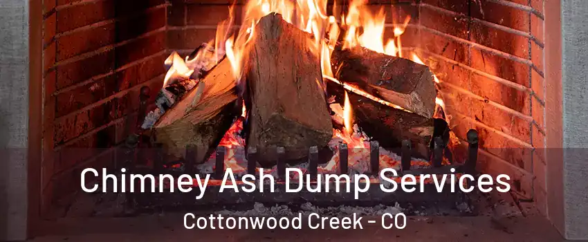 Chimney Ash Dump Services Cottonwood Creek - CO