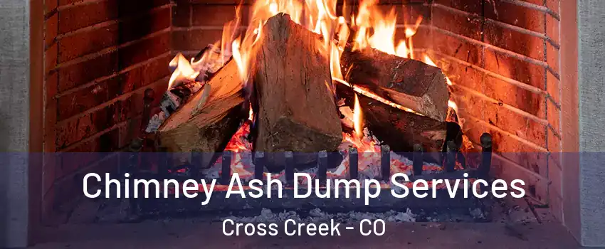 Chimney Ash Dump Services Cross Creek - CO